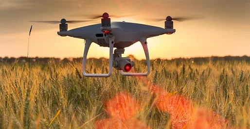 Drone flying and mapping wheat field in 