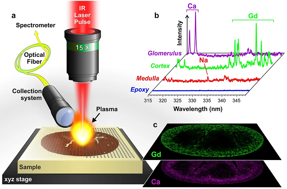 Laser Attenuators and Laser-Induced Breakdown Spectroscopy in 3D imaging