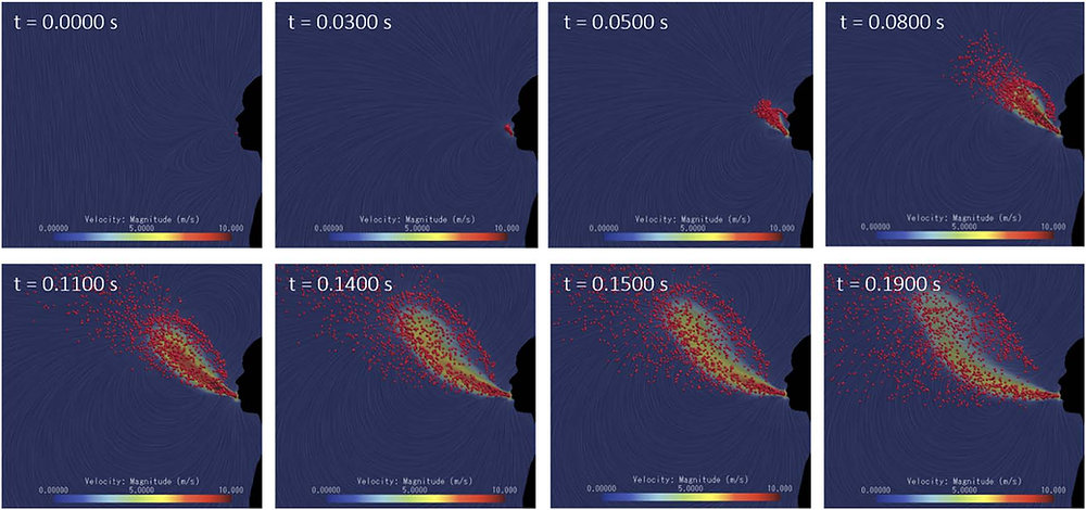 COVID-19 Spread Study Utilizes Quantum Composers Pulse Delay Generator